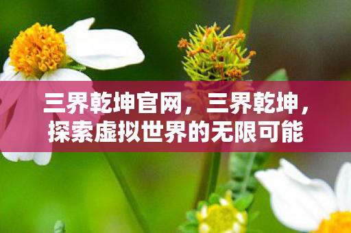 探索虚拟世界的无限可能图片