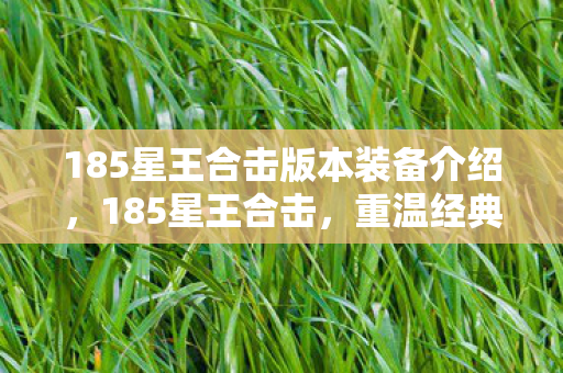 185星王合击版本装备介绍图片