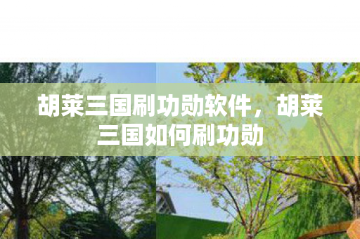 胡莱三国刷功勋软件,胡莱三国如何刷功勋 胡莱三国刷功勋软件,胡莱三国如何刷功勋