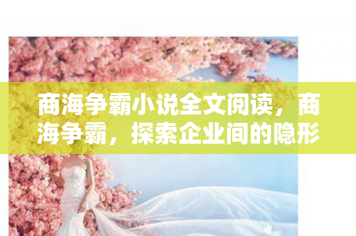 商海争霸小说全文阅读图片