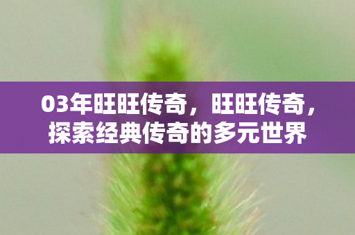 探索经典传奇的多元世界图片