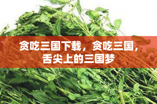 舌尖上的三国梦图片