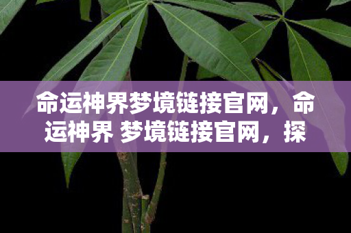 命运神界 梦境链接官网图片