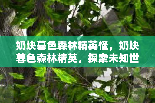 探索未知世界的冒险之旅图片