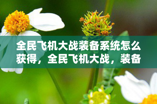 全民飞机大战装备系统怎么获得图片