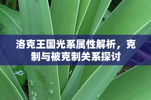洛克王国光系属性解析,克制与被克制关系探讨 洛克王国光系属性解析,克制与被克制关系探讨