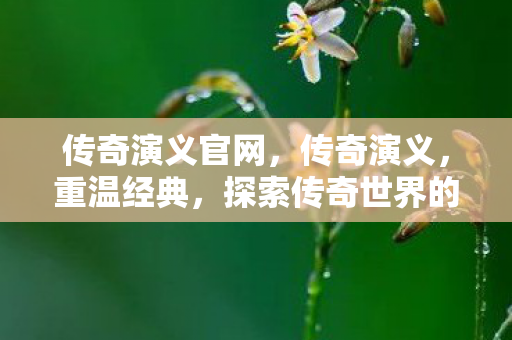 探索传奇世界的奥秘图片