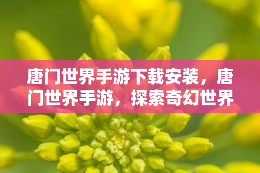 探索奇幻世界的奇妙之旅图片