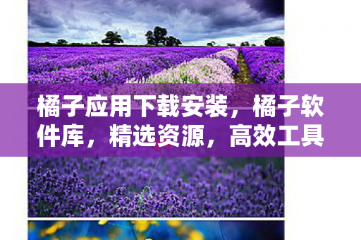橘子应用下载安装图片