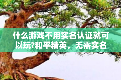 什么游戏不用实名认证就可以玩图片