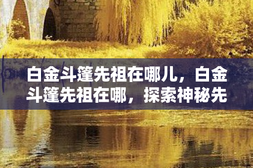 白金斗篷先祖在哪儿,白金斗篷先祖在哪,探索神秘先祖的踪迹 白金斗篷先祖在哪儿,白金斗篷先祖在哪,探索神秘先祖的踪迹