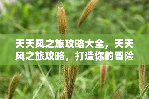 天天风之旅攻略大全图片