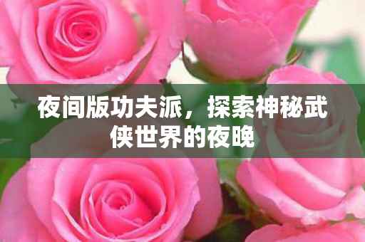 夜间版功夫派,探索神秘武侠世界的夜晚 夜间版功夫派,探索神秘武侠世界的夜晚