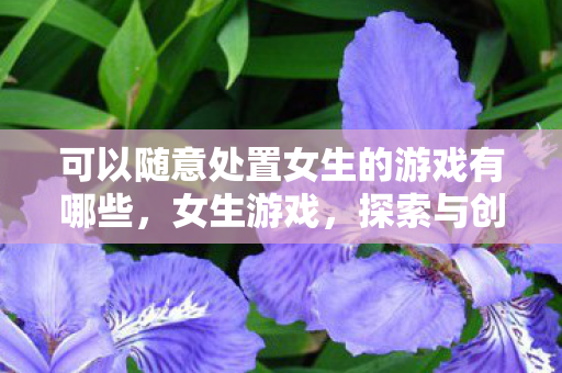 可以随意处置女生的游戏有哪些图片