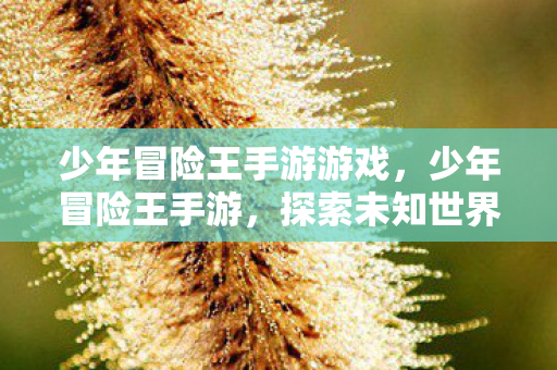 少年冒险王手游游戏,少年冒险王手游,探索未知世界的奇妙之旅 少年冒险王手游游戏,少年冒险王手游,探索未知世界的奇妙之旅