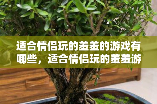 适合情侣玩的羞羞的游戏有哪些图片