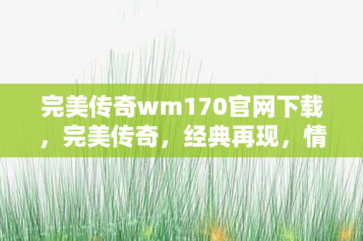 完美传奇wm170官网下载图片