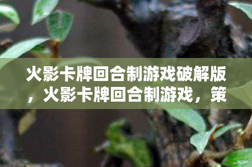 火影卡牌回合制游戏破解版,火影卡牌回合制游戏,策略与激情的碰撞 火影卡牌回合制游戏破解版,火影卡牌回合制游戏,策略与激情的碰撞