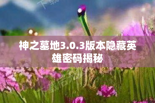 神之墓地3.0.3版本隐藏英雄密码揭秘