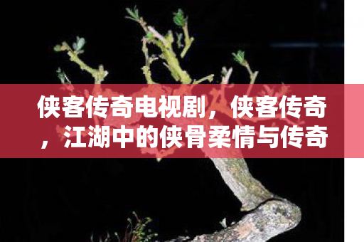 江湖中的侠骨柔情与传奇故事图片