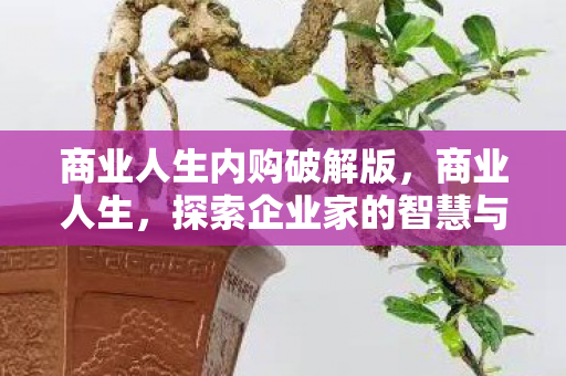 商业人生内购破解版，商业人生，探索企业家的智慧与决策