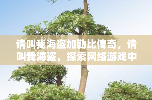 请叫我海盗加勒比传奇，请叫我海盗，探索网络游戏中的自由与创意