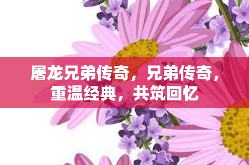 屠龙兄弟传奇图片