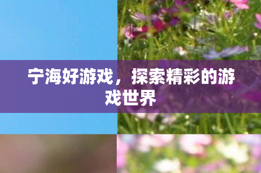 宁海好游戏,探索精彩的游戏世界 宁海好游戏,探索精彩的游戏世界