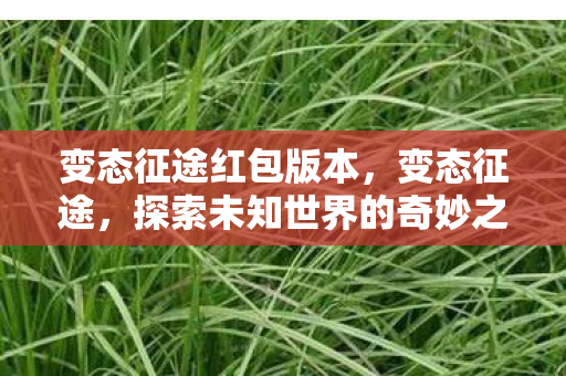探索未知世界的奇妙之旅图片