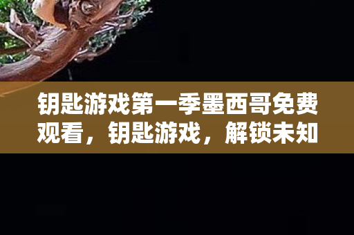 钥匙游戏第一季墨西哥免费观看图片