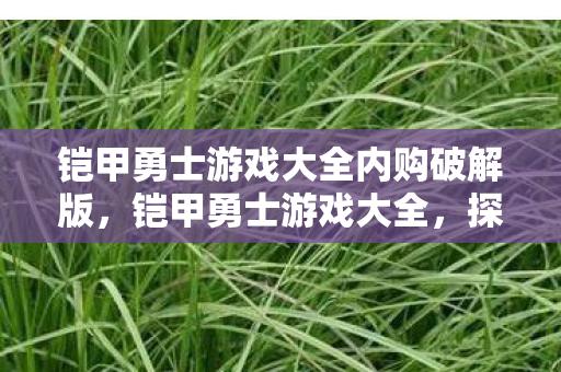 铠甲勇士游戏大全内购破解版图片