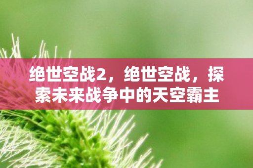 探索未来战争中的天空霸主图片