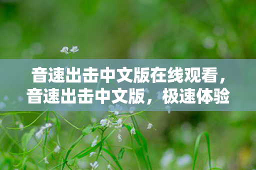 音速出击中文版在线观看图片