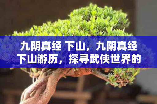 九阴真经 下山,九阴真经下山游历,探寻武侠世界的奥秘 九阴真经 下山,九阴真经下山游历,探寻武侠世界的奥秘