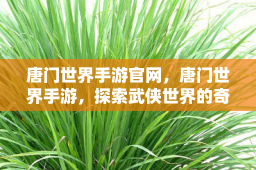 探索武侠世界的奇妙之旅图片
