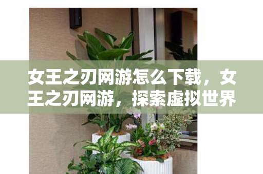 探索虚拟世界的无限可能图片
