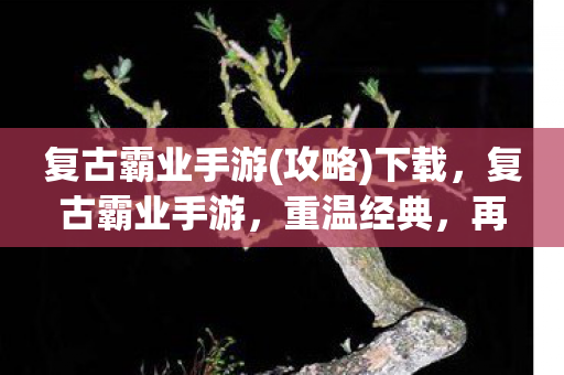 复古霸业手游图片