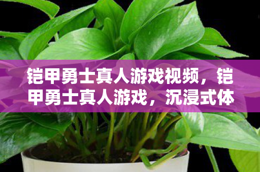 铠甲勇士真人游戏视频图片