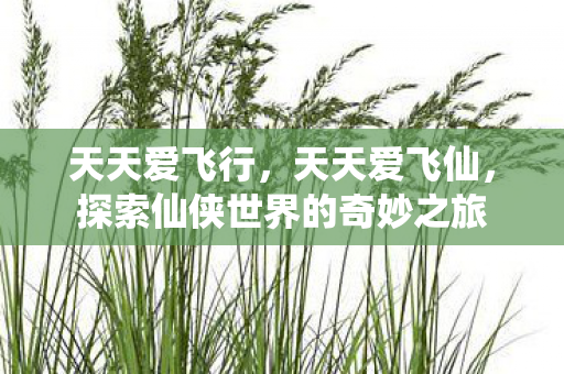 天天爱飞行，天天爱飞仙，探索仙侠世界的奇妙之旅