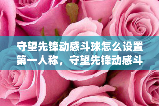 守望先锋动感斗球怎么设置第一人称，守望先锋动感斗球，揭秘那些影响游戏体验的bug