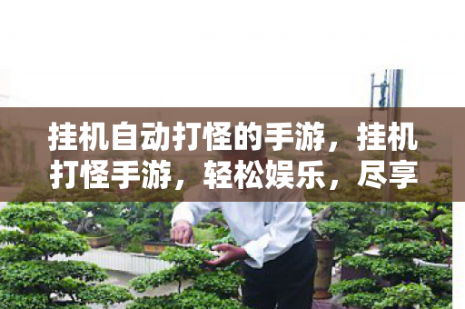 挂机自动打怪的手游，挂机打怪手游，轻松娱乐，尽享无限可能
