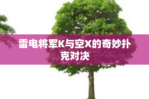 雷电将军K与空X的奇妙扑克对决 雷电将军K与空X的奇妙扑克对决