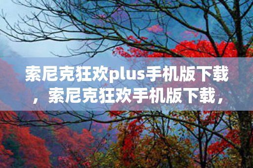 索尼克狂欢plus手机版下载图片