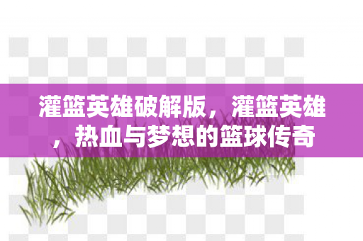 热血与梦想的篮球传奇图片