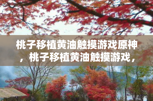 桃子移植黄油触摸游戏原神图片