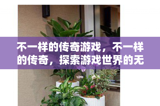 探索游戏世界的无限可能图片