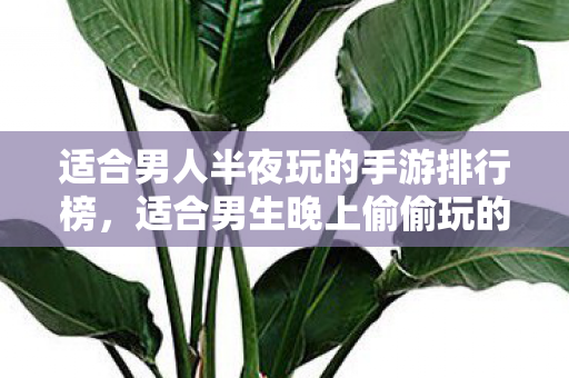 适合男生晚上偷偷玩的手游推荐图片