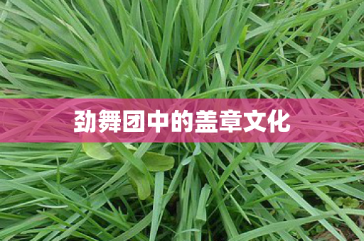 劲舞团中的盖章文化 劲舞团中的盖章文化