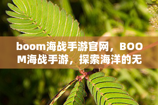boom海战手游官网图片