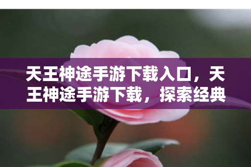 探索经典传奇的无限可能图片